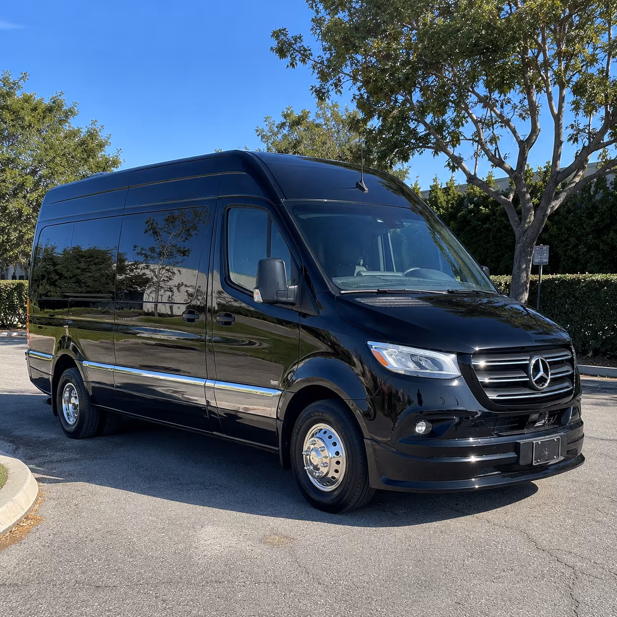 Everett Prom Transportation