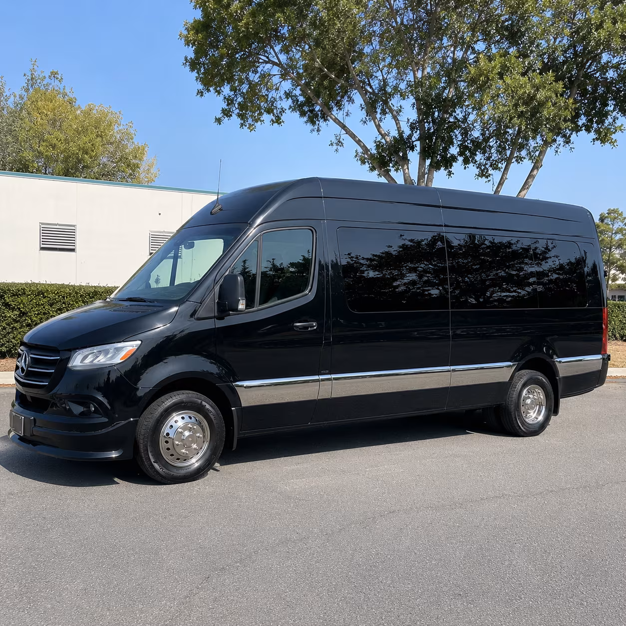everett wedding sprinter van rental